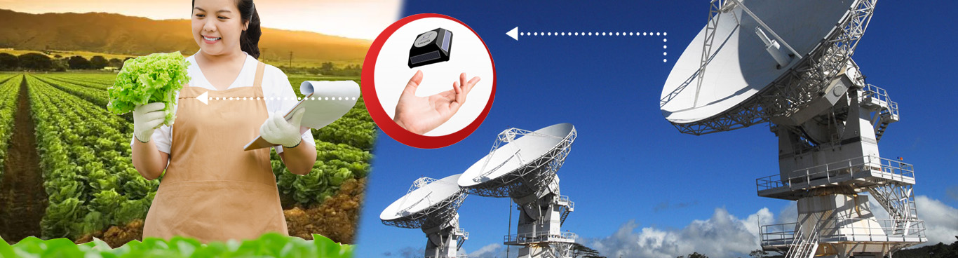 Agriculture integrated with IoT